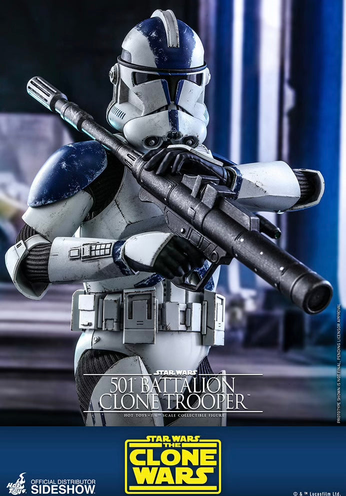 ! 501st Battalion Clone Trooper (Displayed)